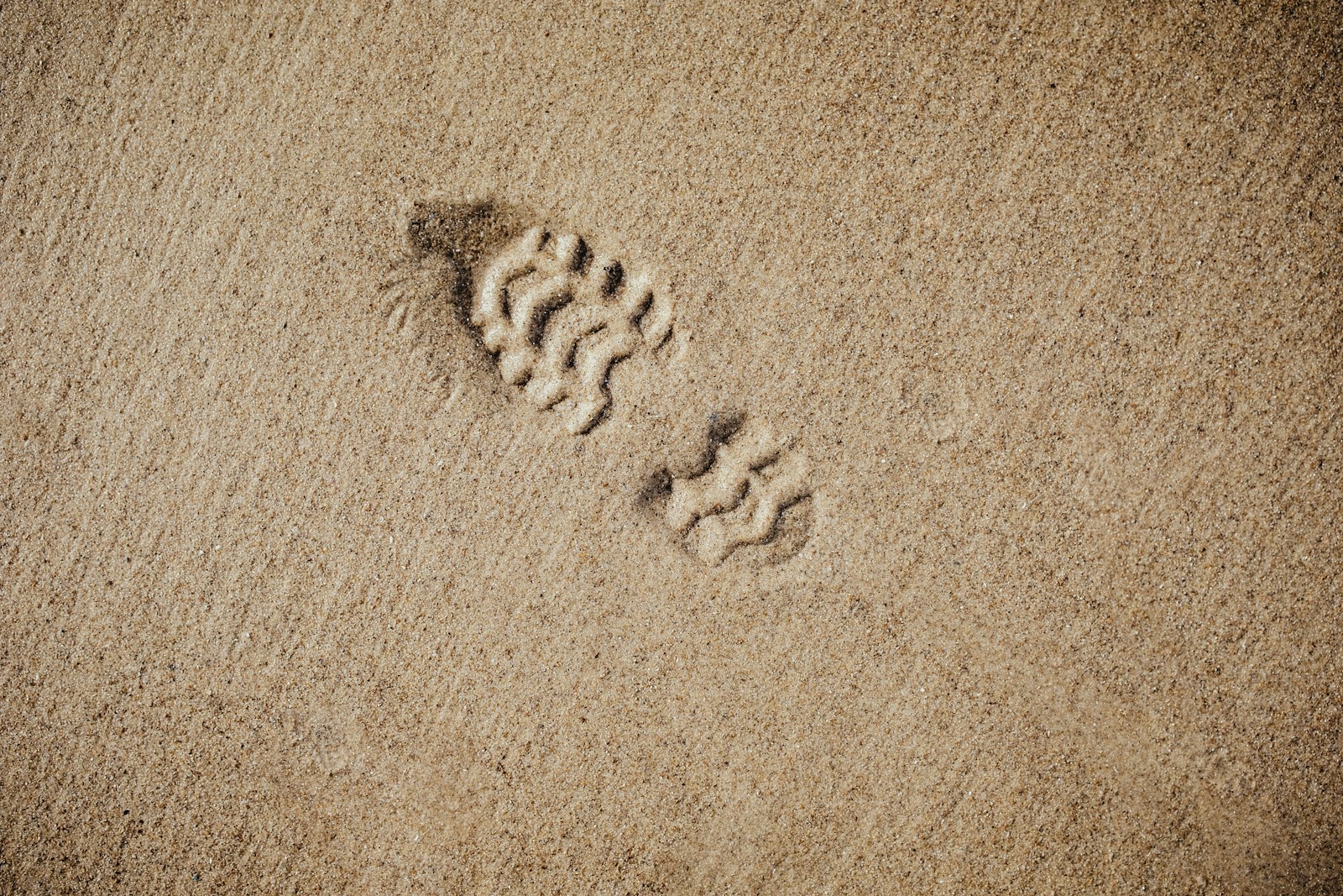 mission selective focus photography of foot print